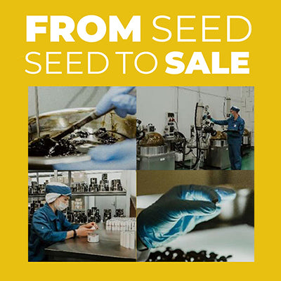 Reakiro From Seed to Sale