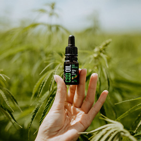 Elevate Your CBD Experience with Reakiro, Europe's Premium CBD Products Provider