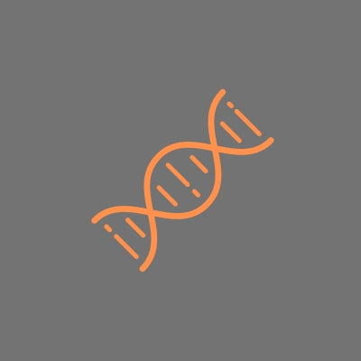 Cellular Support