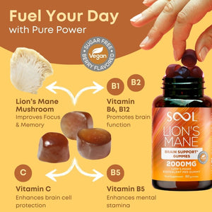 Lion`s Mane Berry Flavoured 2000 mg Benefits