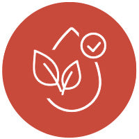 Vegan_Safe-com